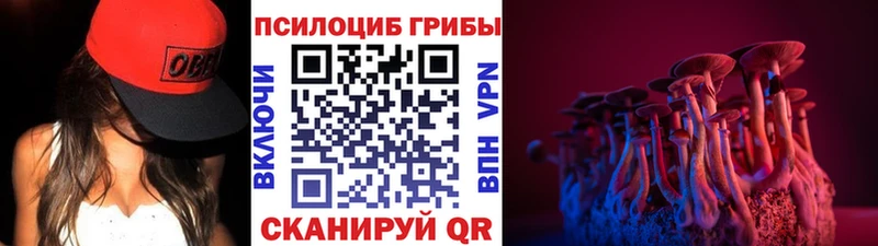 цены   Салаир  Галлюциногенные грибы Cubensis 