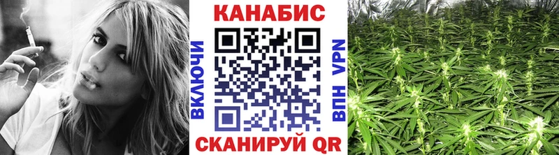 где продают наркотики  Салаир  Бошки марихуана конопля 